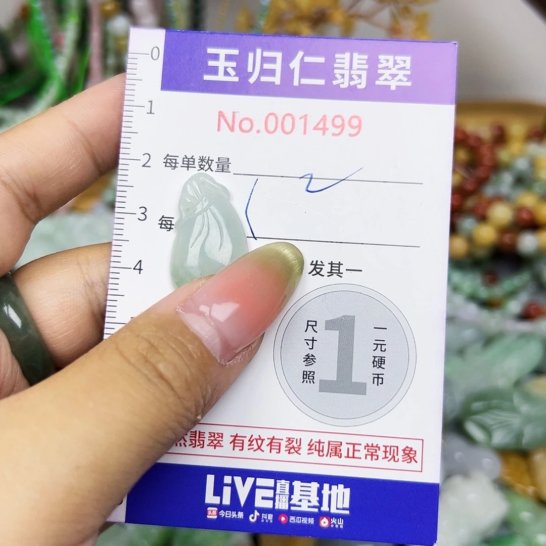 翡翠未镶嵌颈饰111