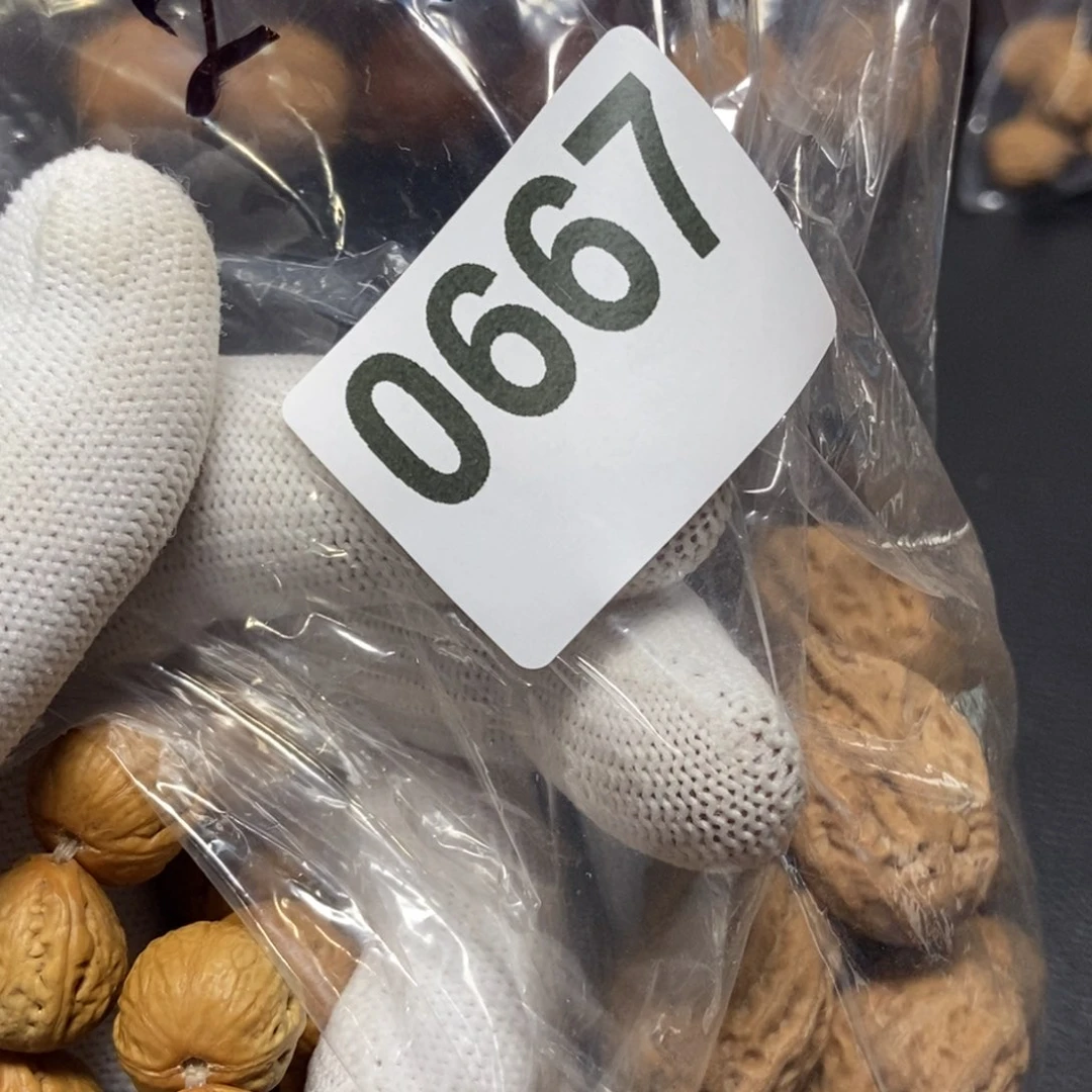 文玩核桃吊坠喝*秋子