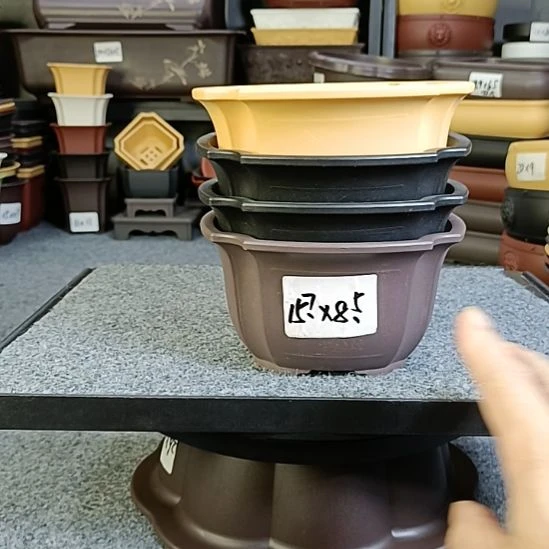 5只15.7cm小号四叶草圆盆