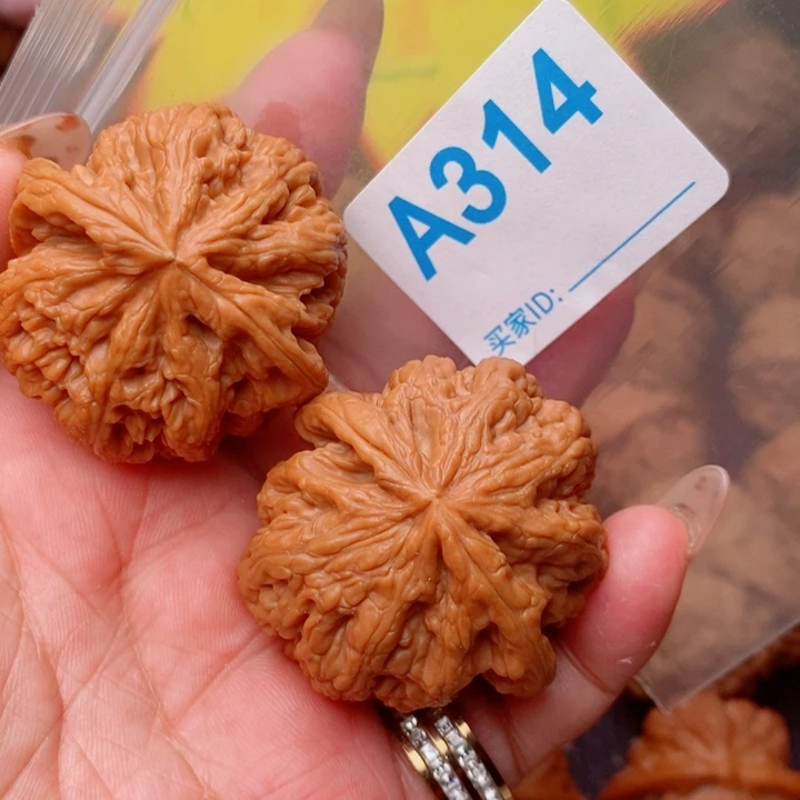 粗筋43尺314号123