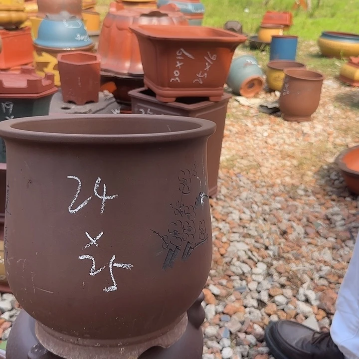 紫砂花盆紫砂花盆