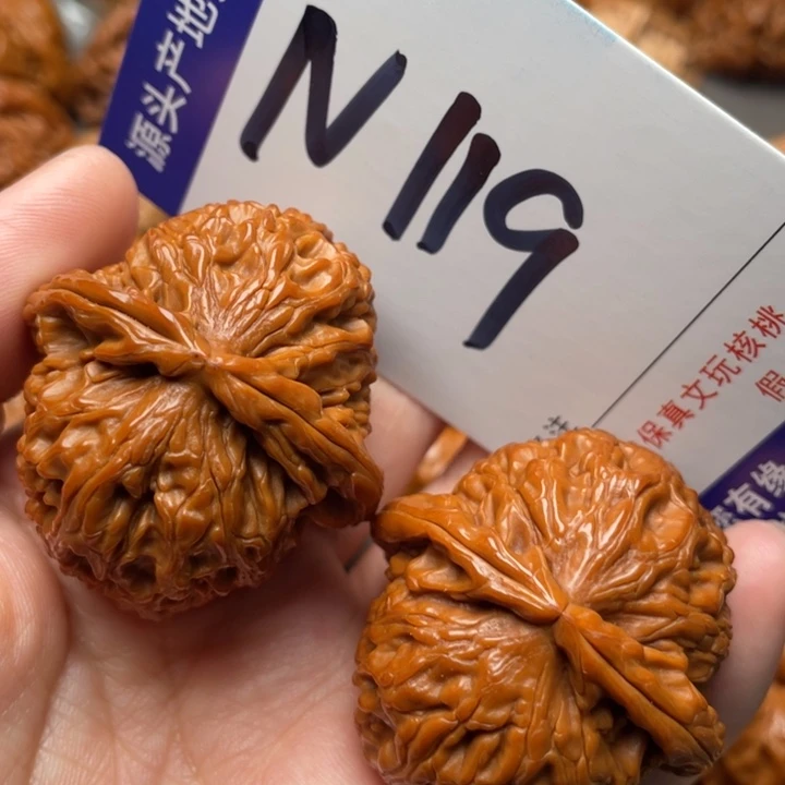 文玩核桃把件白狮子39尺