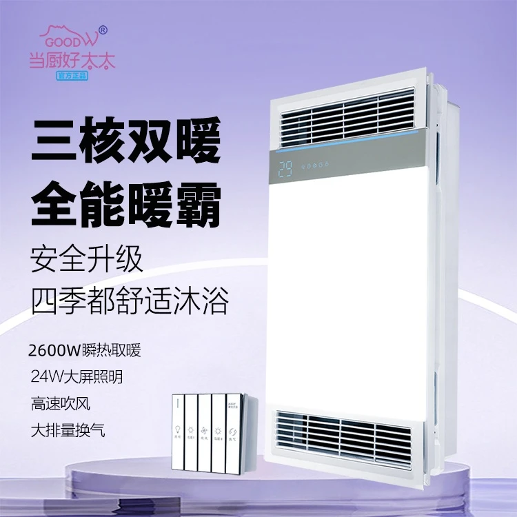 五合一风暖浴霸取暖卫生间照明除湿排风热水器家用洗澡卫生间 T32