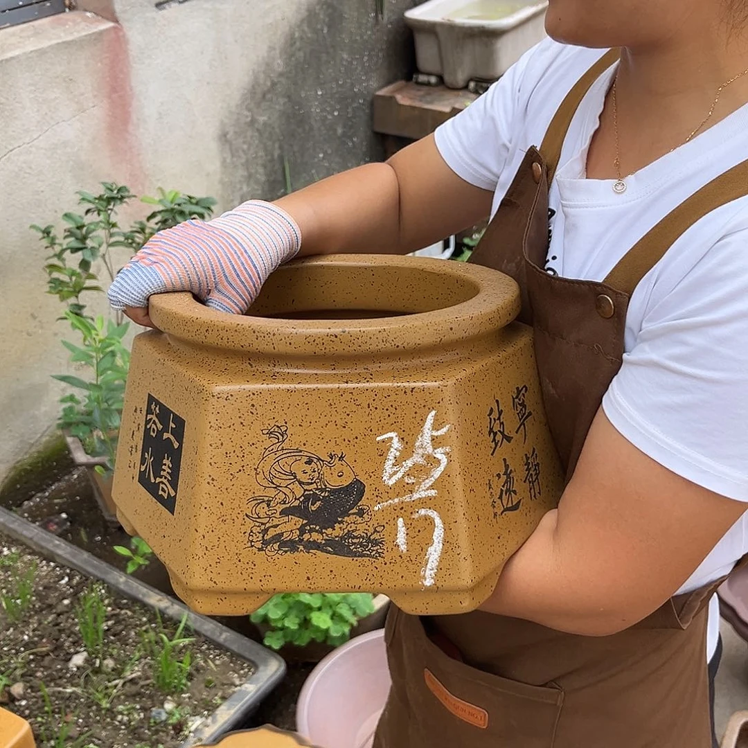 紫砂花盆盆景艺术