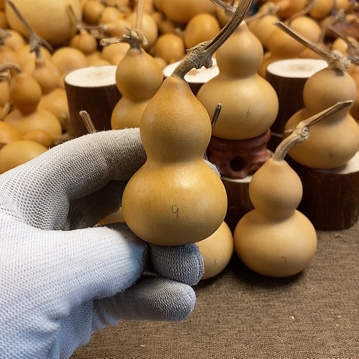 文玩葫芦 完美主义者 慎拍9