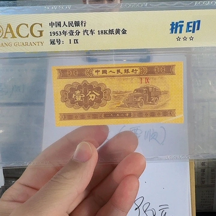 CSIS评级随机发货无四TS冠