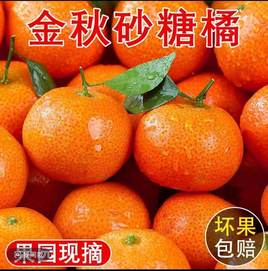自家果园新鲜采摘 正宗金秋沙糖桔新鲜应季水果爆甜多汁