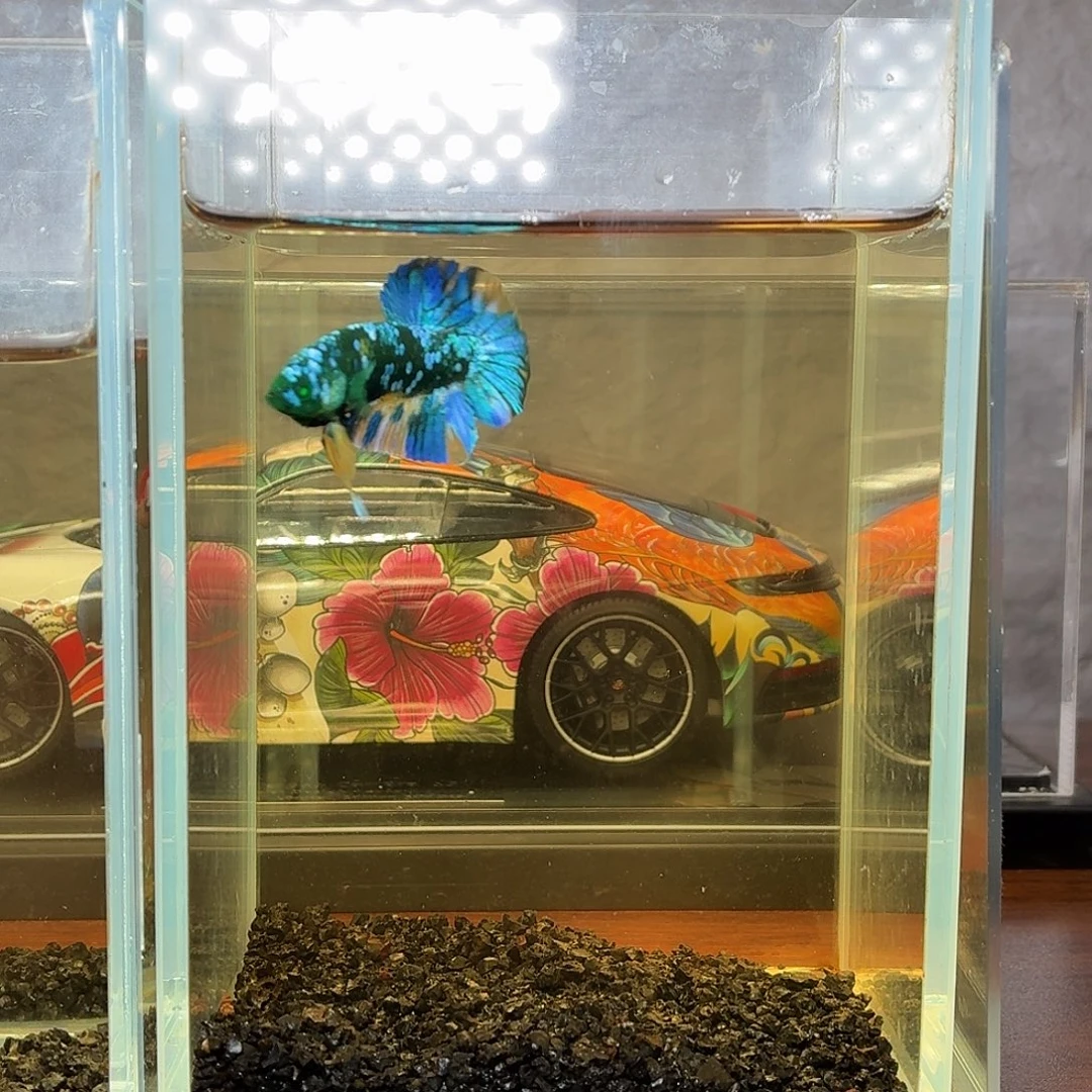 斗鱼暗黑绿魔将军