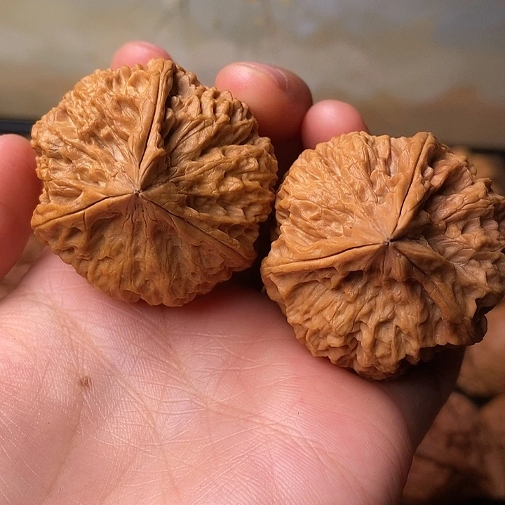 吊坠文玩核桃铁核桃24