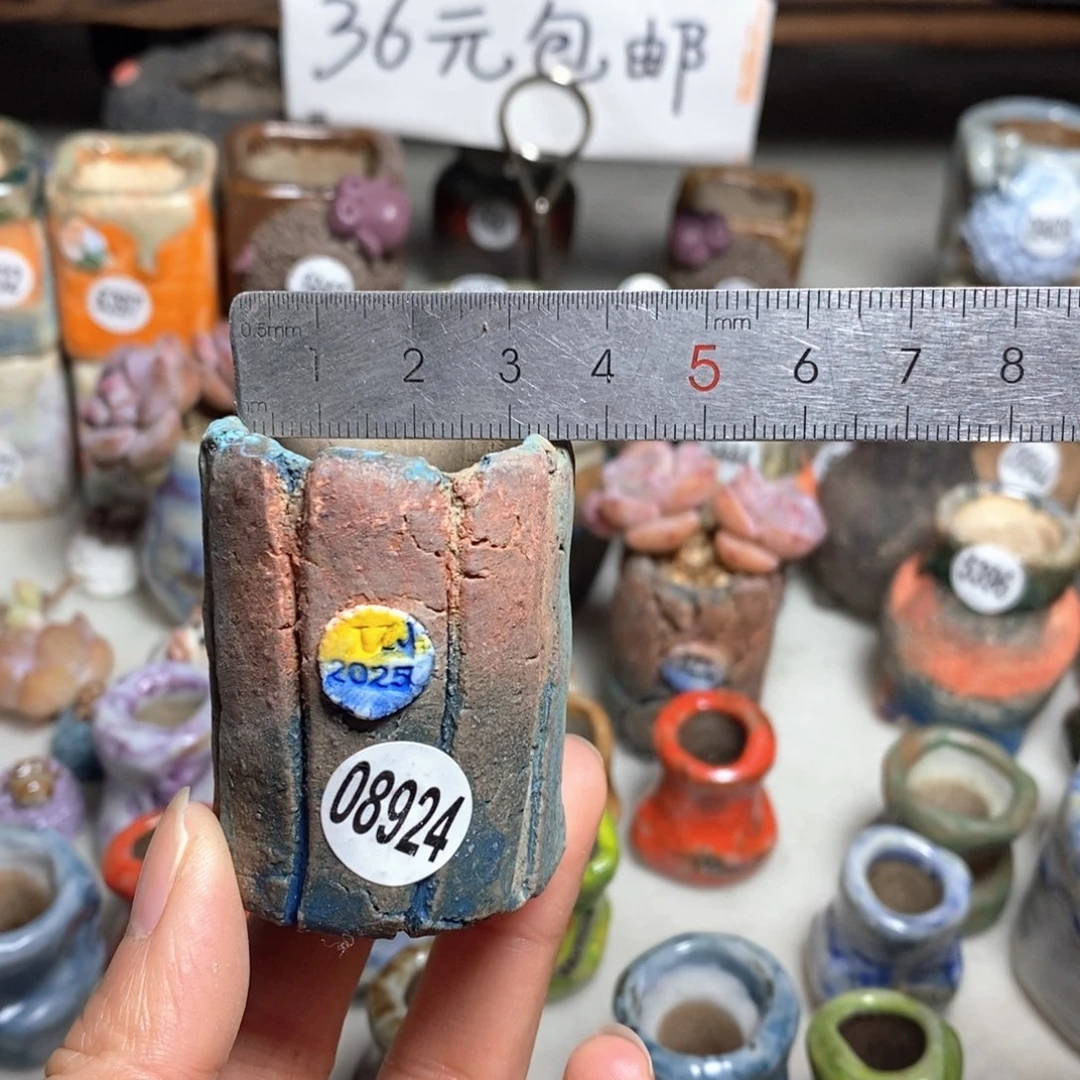 多肉花盆拍3送一个小礼物