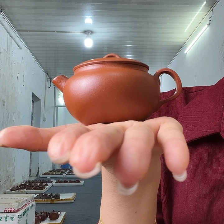 茶壶紫砂紫砂…………………………