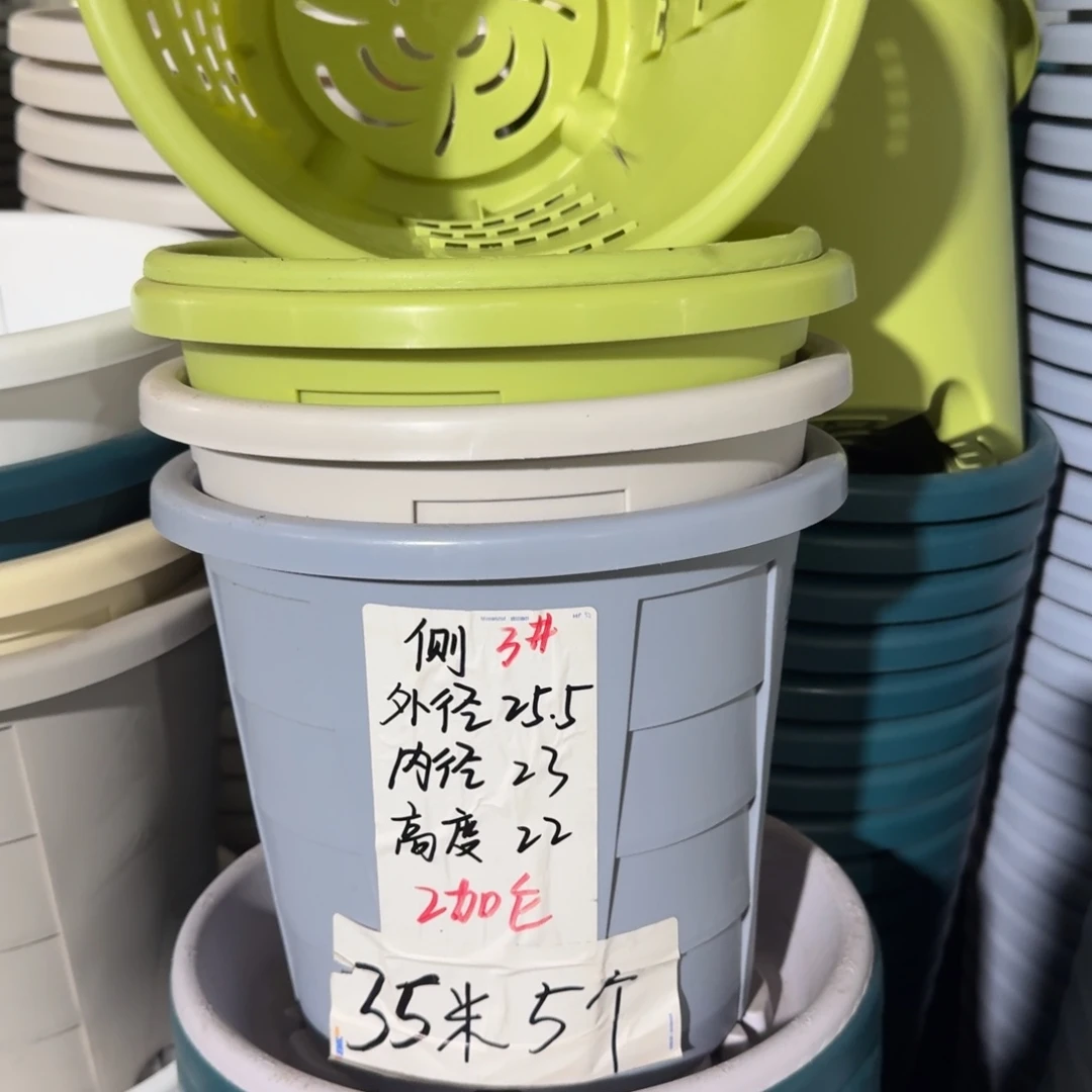 测3#口径25无拖果绿5个