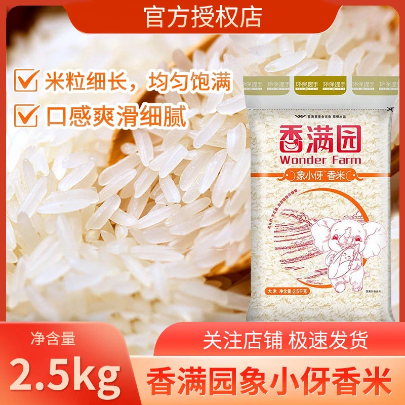 包邮5斤装香满园象小伢香米2.5kg/袋南方大米家用煮饭煲粥大米