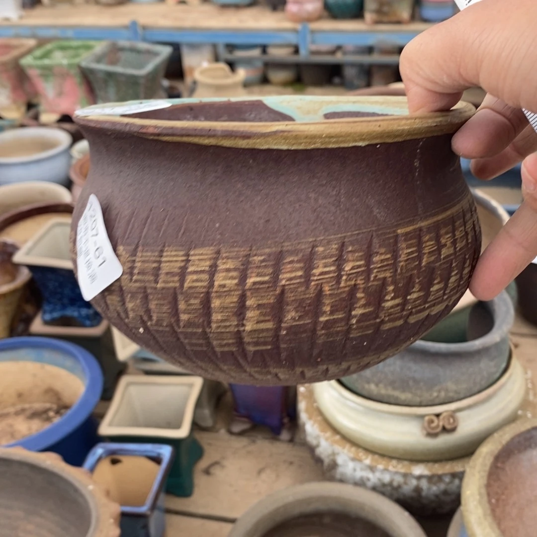 114¥号；多肉盆口径13