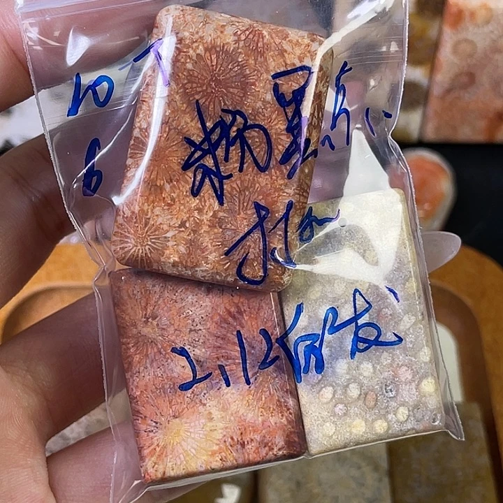 硅化珊瑚（珊瑚玉）珠宝金石合金粉*点