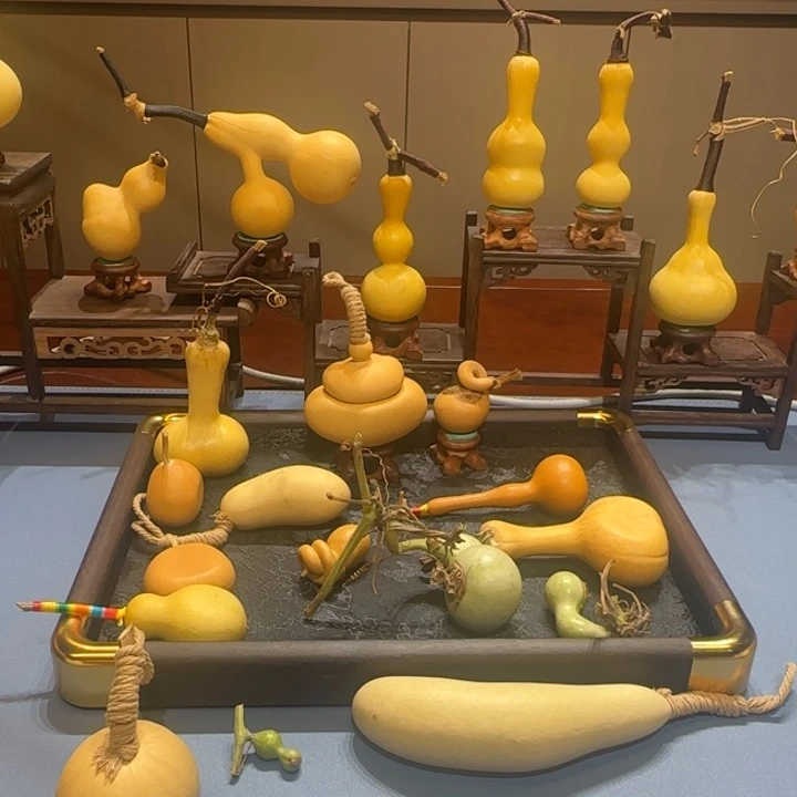 9***A葫芦哈哈哈哈哈哈哈好
