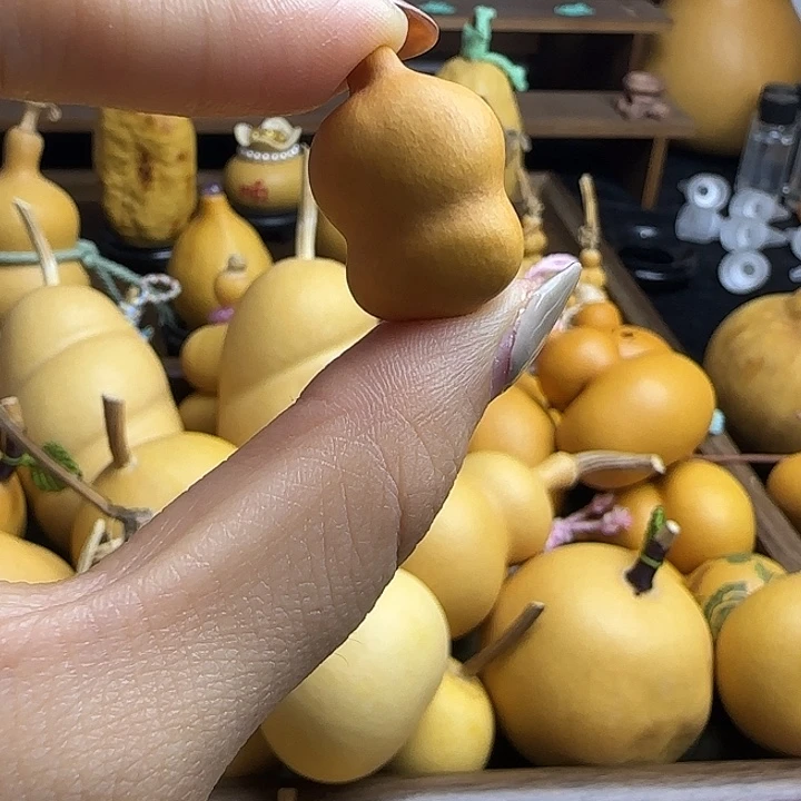 黑***式葫芦草里金钱袋漏