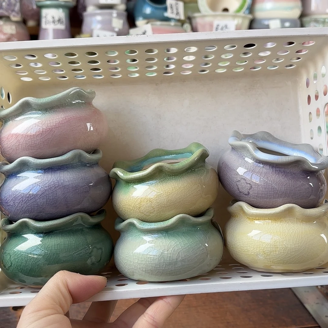 量货/5口高5深浅搭配发6