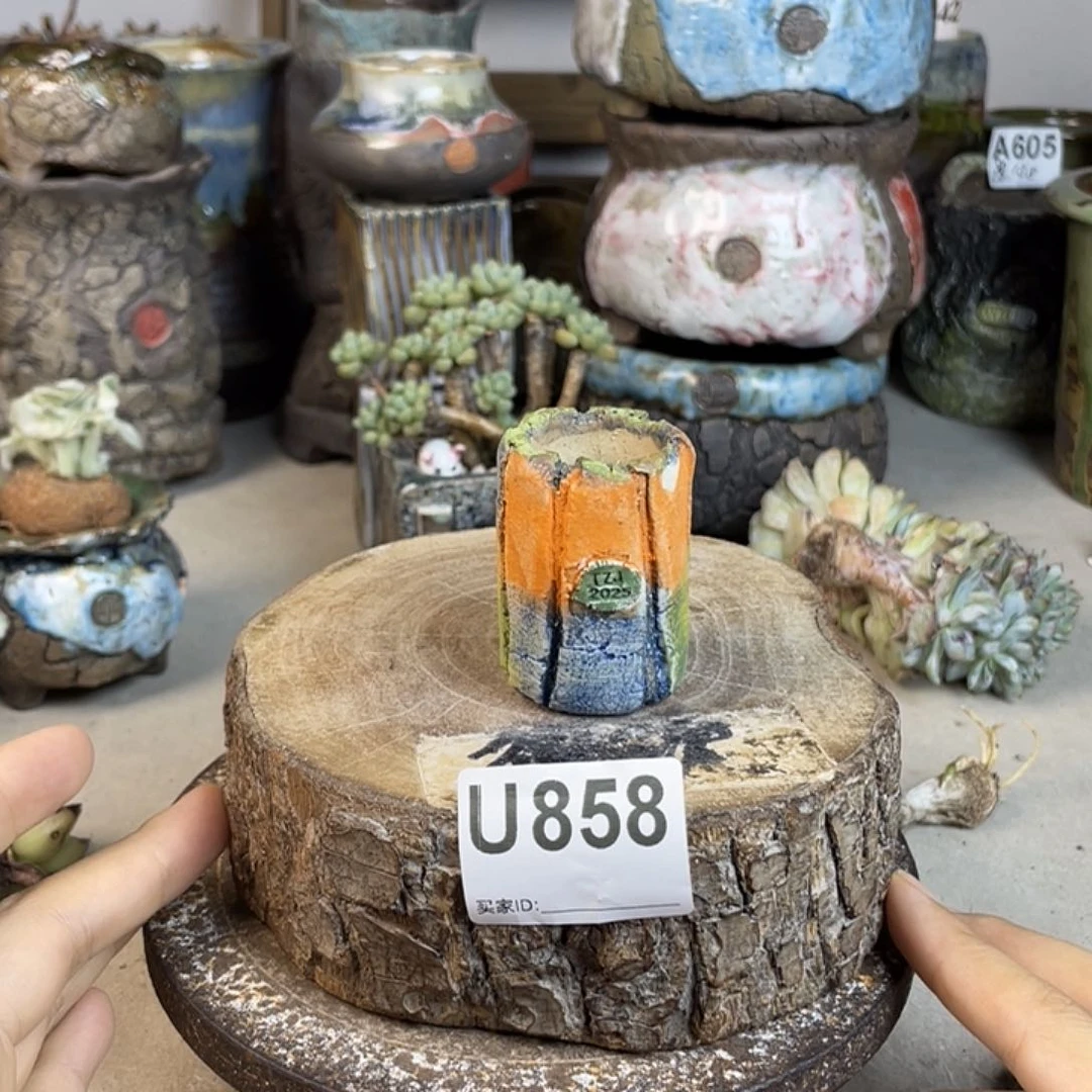 开播福利 陶瓷花盆 默认微次