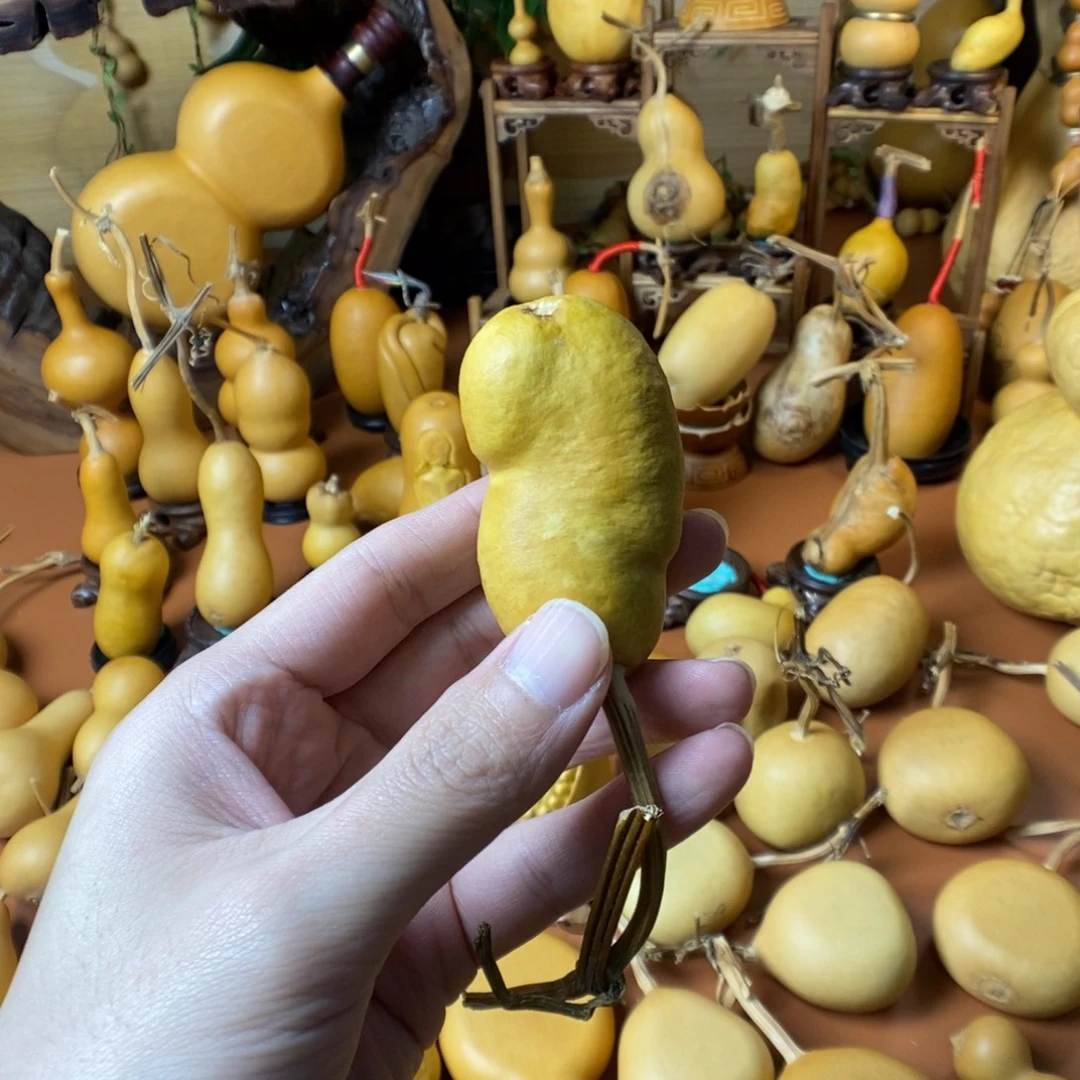 海***啦啦好教练教练咯