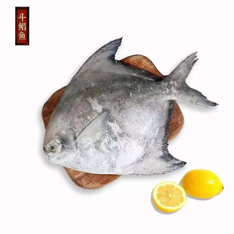 斗鲳鱼[直播现称]顺丰包邮