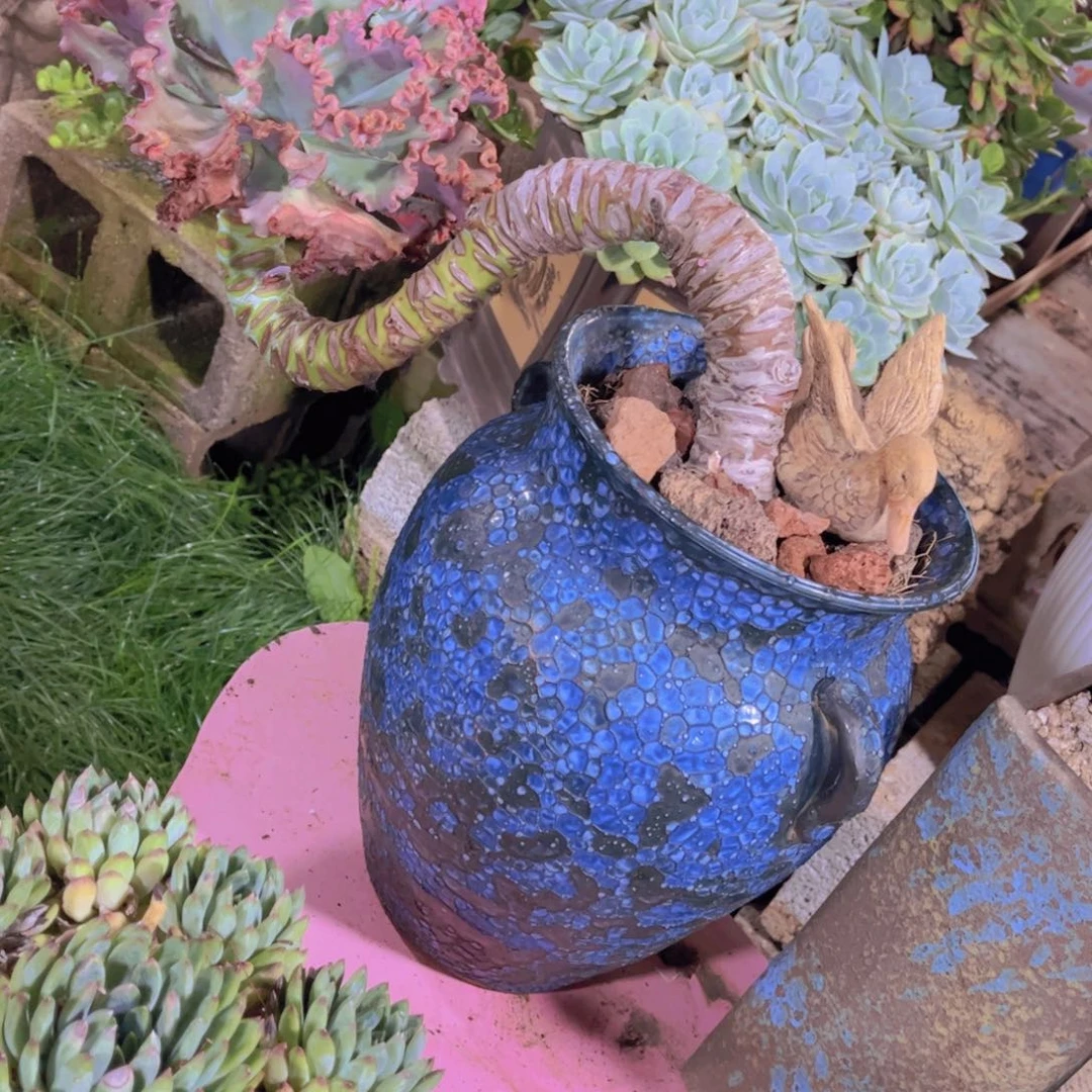 冉*多肉植物保护研究所