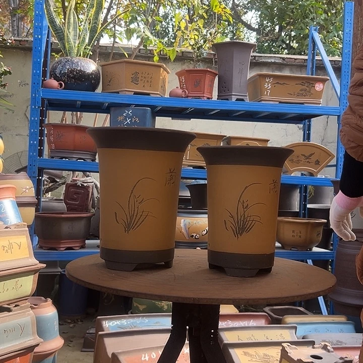 17+20黄色兰花盆花盆花盆