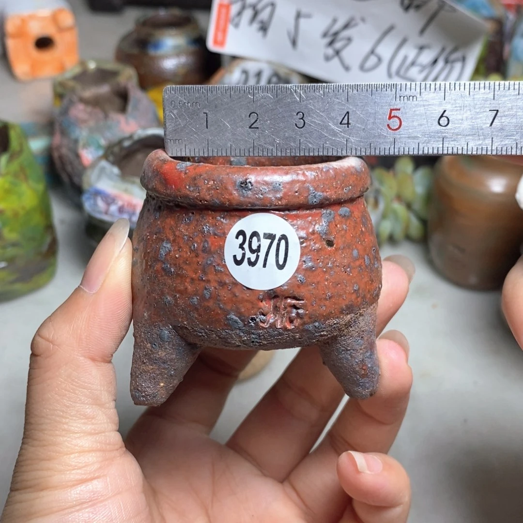 拍5送一个小礼物