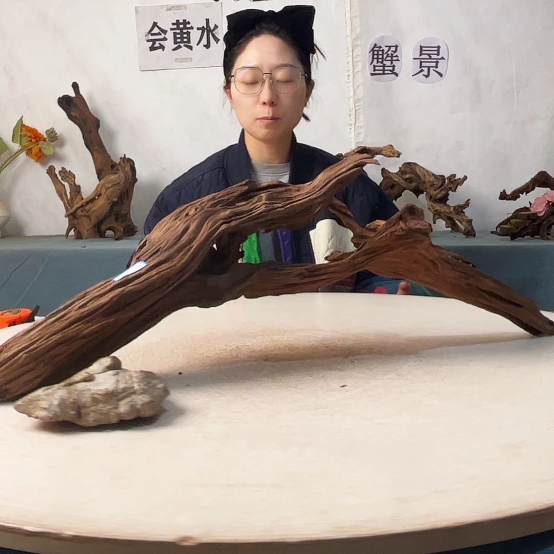 沉木造景爬宠造景