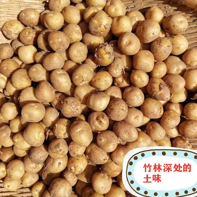 【衣哥代卖】新鲜小土豆3/5斤包邮农家高山黄心迷你小土豆小马铃薯