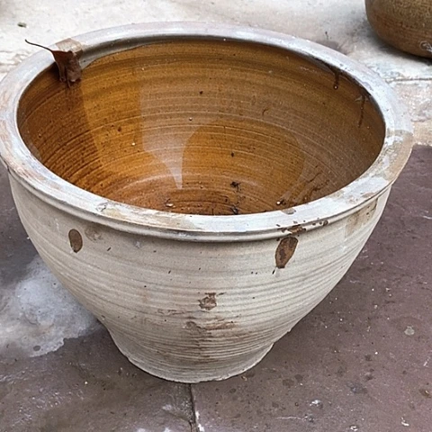 花卉市场的发展趋势和