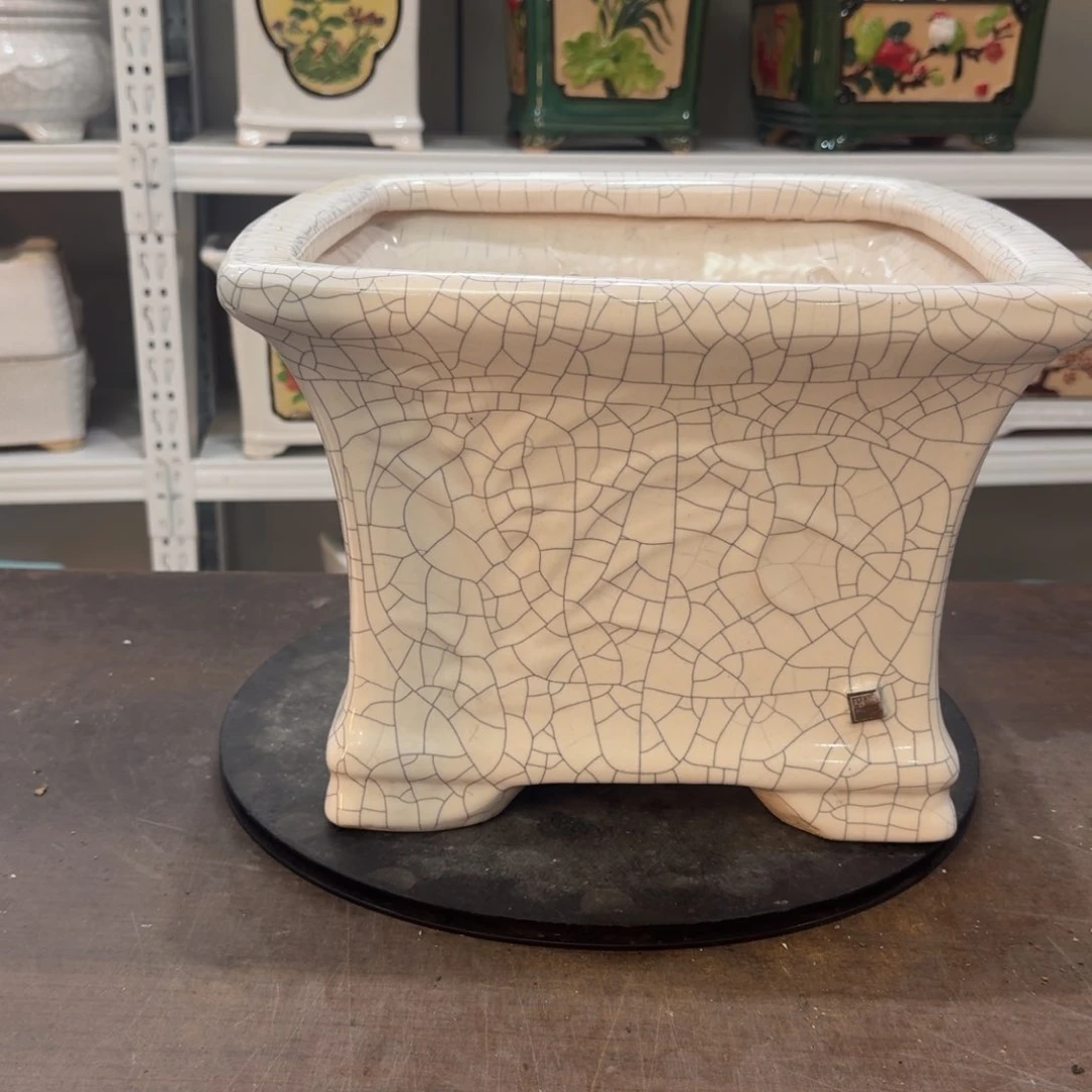 红陶松****力2222222222222