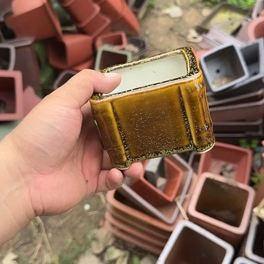 一些有实力却没文化且缺乏素质