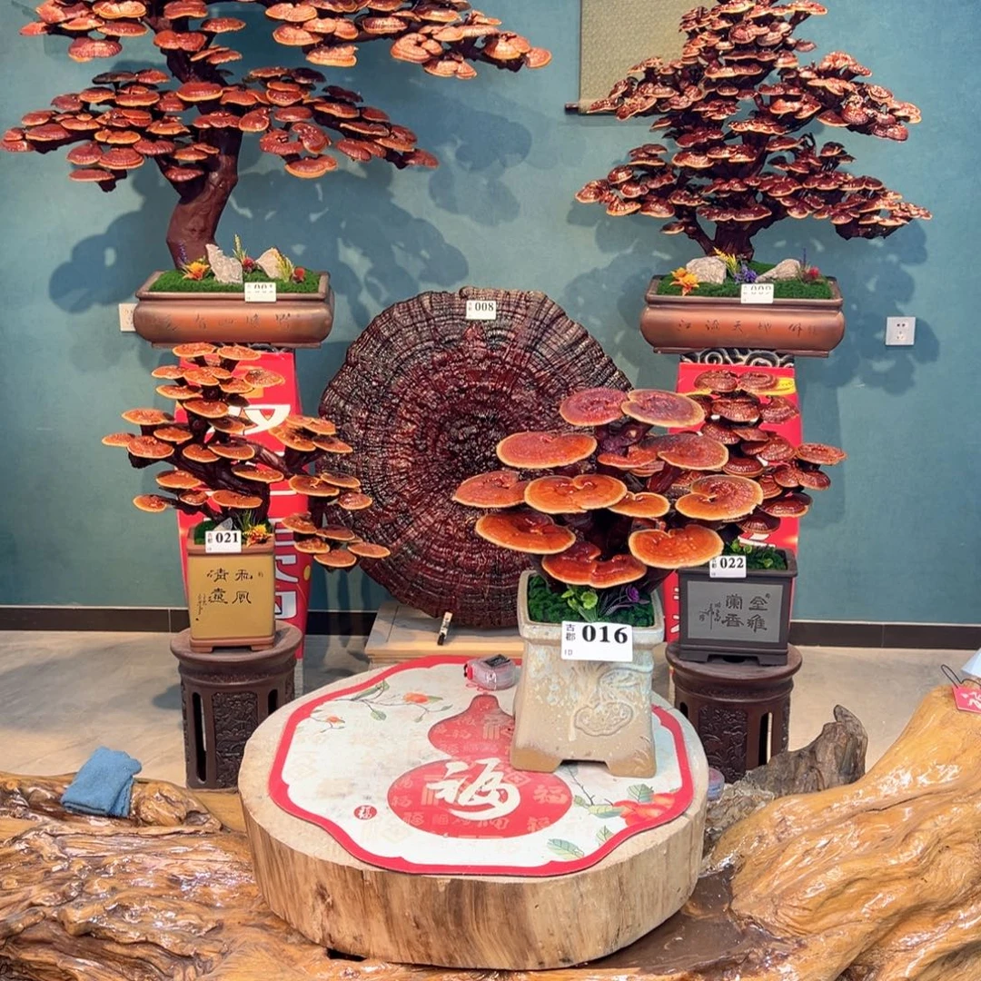 无花朵8888888888888