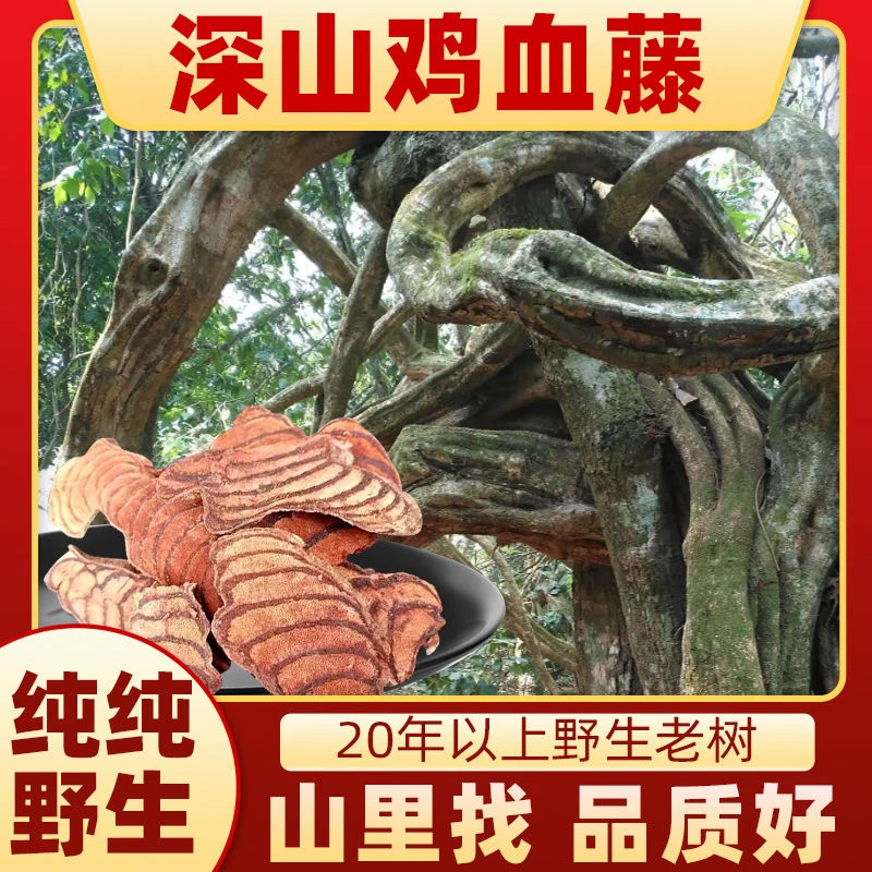 野生深山老林鸡血藤