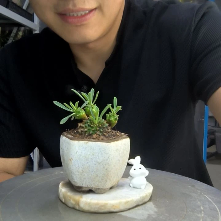 ?**妃中青园艺一物一拍144