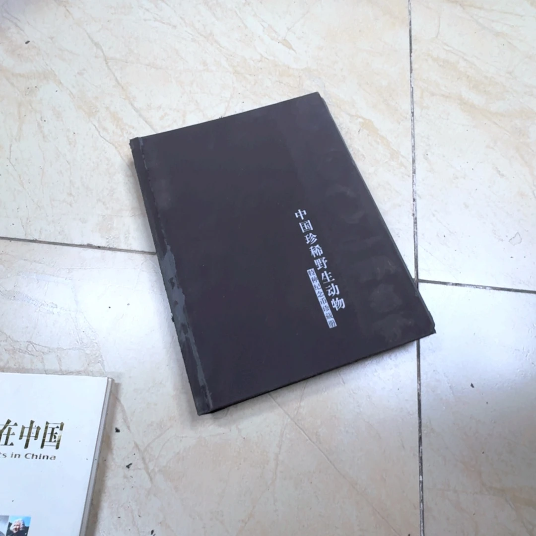 其他普通金属z***.珍稀动物纪念币199