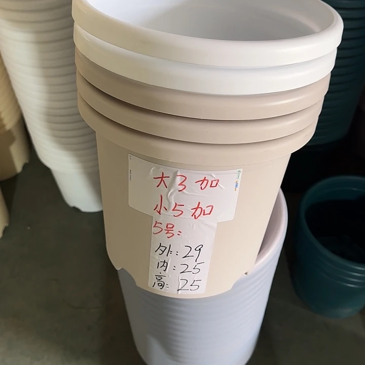 四季5#口径29白色5个无托