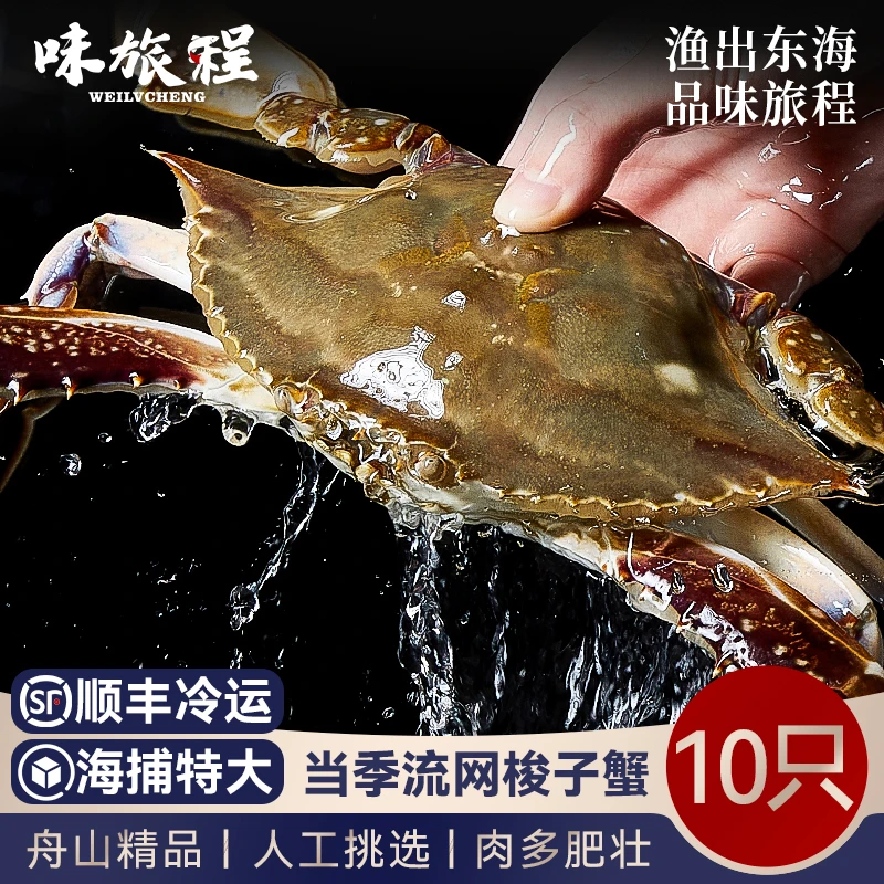 【DR】舟山梭子蟹3-4两10只鲜活冷冻海鲜公蟹螃蟹水产飞蟹3斤【冻蟹】