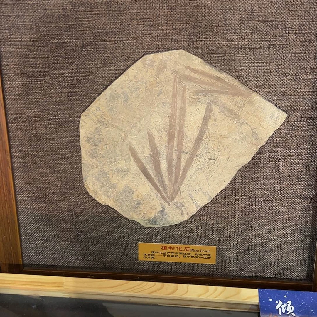 酱***儿石材精品系列产品