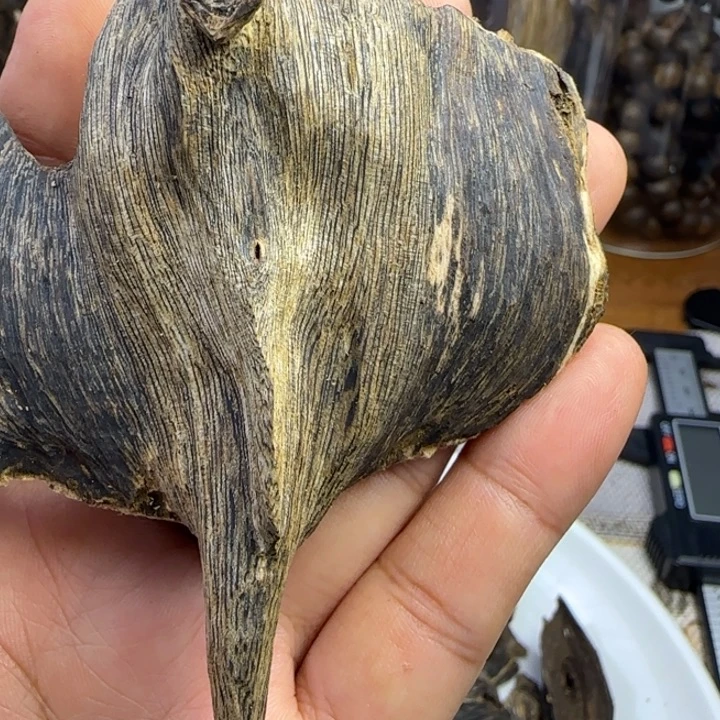 沉香沉香碎屑奇楠沉香虎斑奇22克