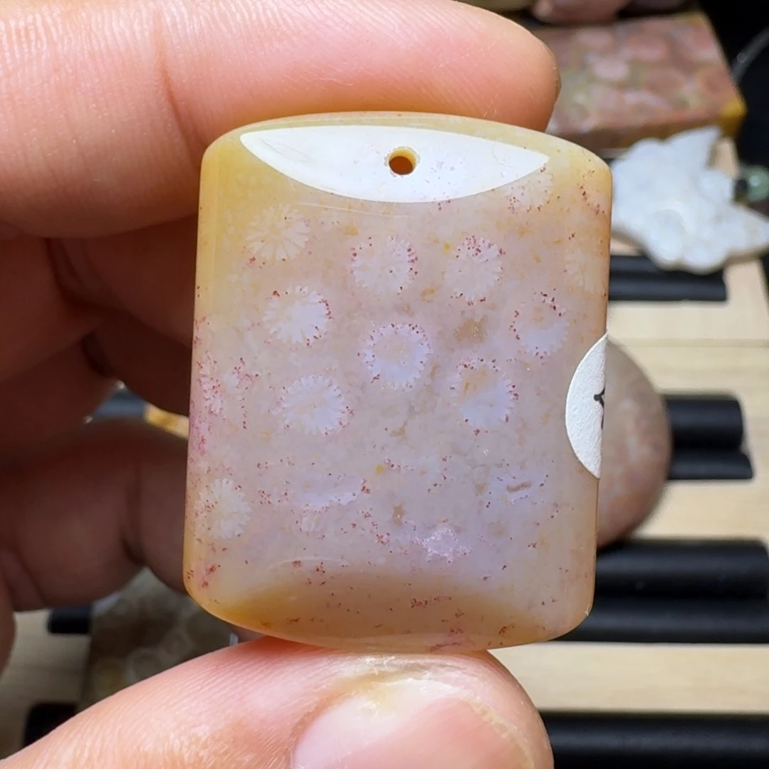 未镶嵌纯天然色有机玉石保真色硅化玉