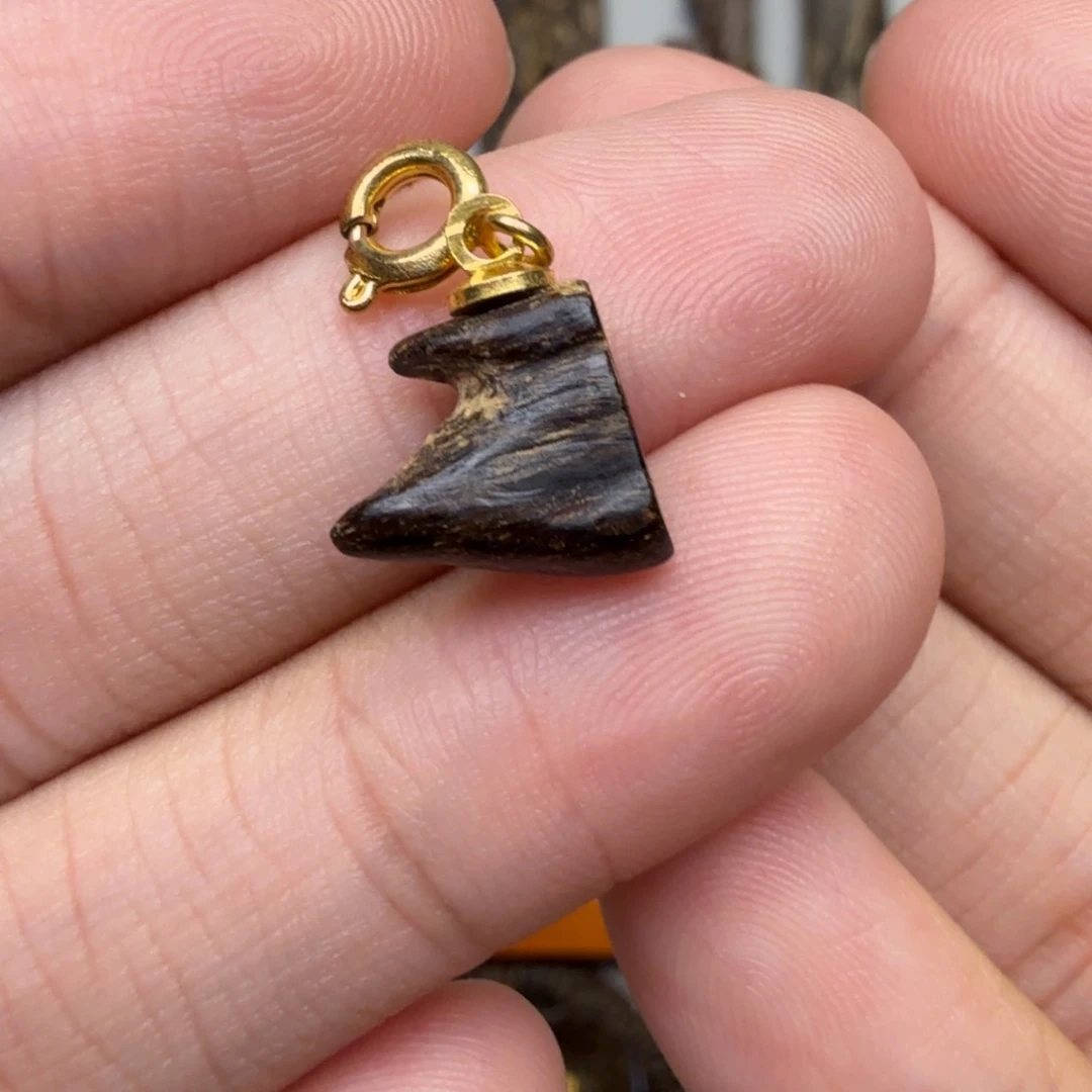 沉香沉香碎屑文莱沉水0.5克