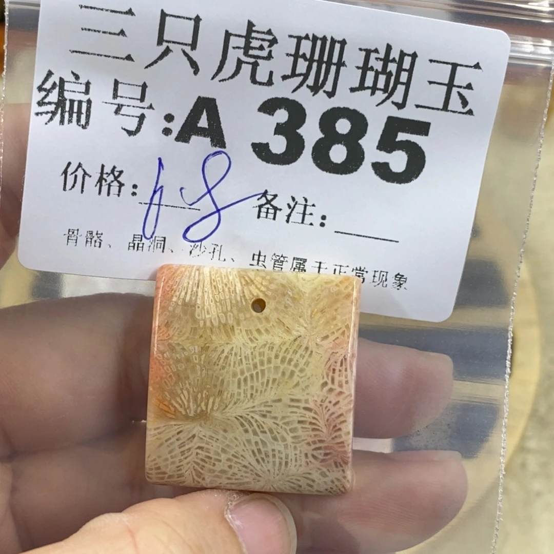 硅化珊瑚（珊瑚玉）1未镶嵌蓝*晶