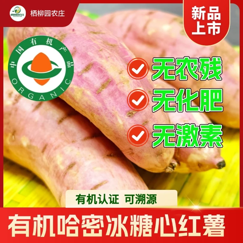 【吃货专属】北京延庆有机现挖哈蜜冰糖心薯软糯香甜地瓜番薯
