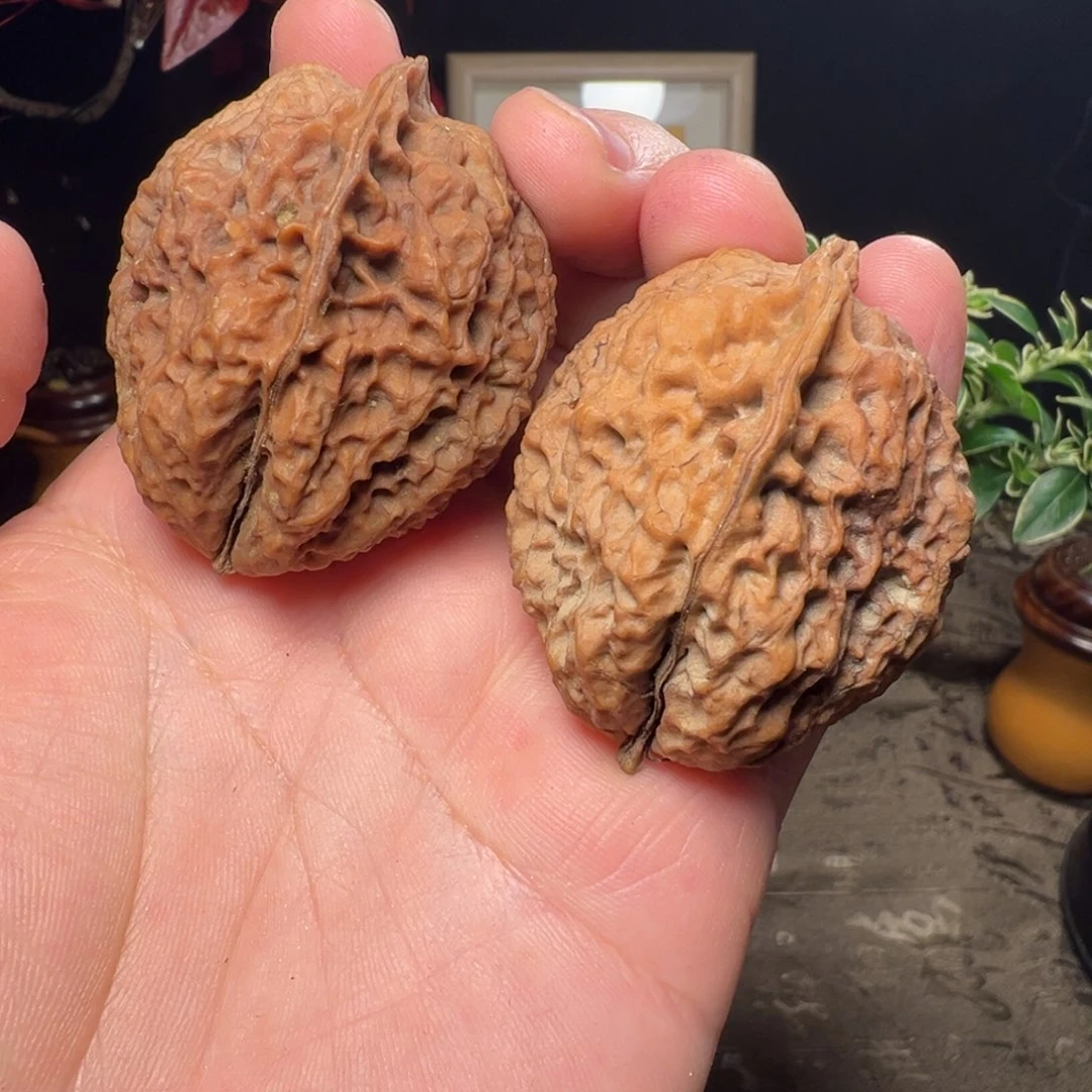 吊坠文玩核桃四海飞龙40mm，高51mm