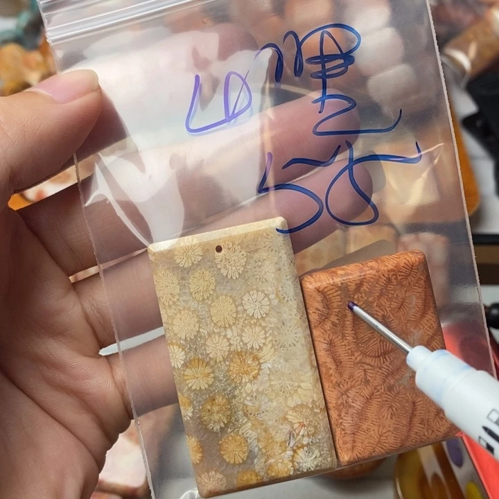 山***里未镶嵌珊瑚玉硅化玉