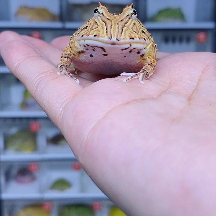 特价秒杀现货特价
