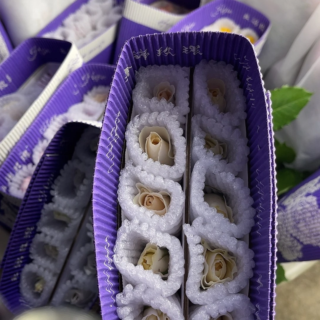 完全开放禾锦（梅丽尔）单头10枝