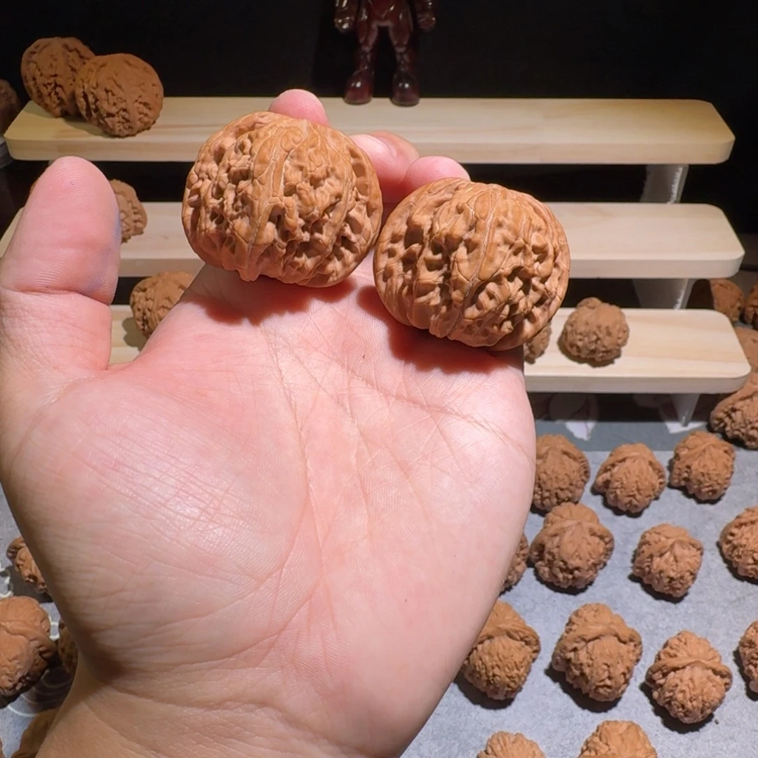 大叶紫檀（黑酸枝木类）